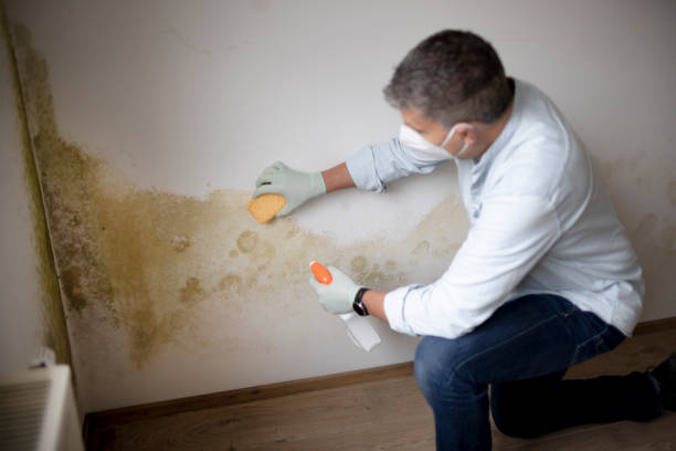 Forensic Mold Investigation in Lincoln Beach, OR